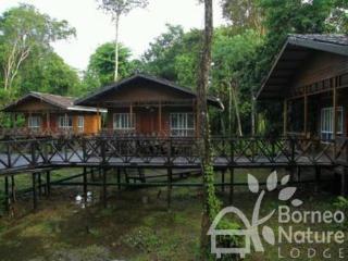 Borneo Nature Lodge SDK Exteriör bild